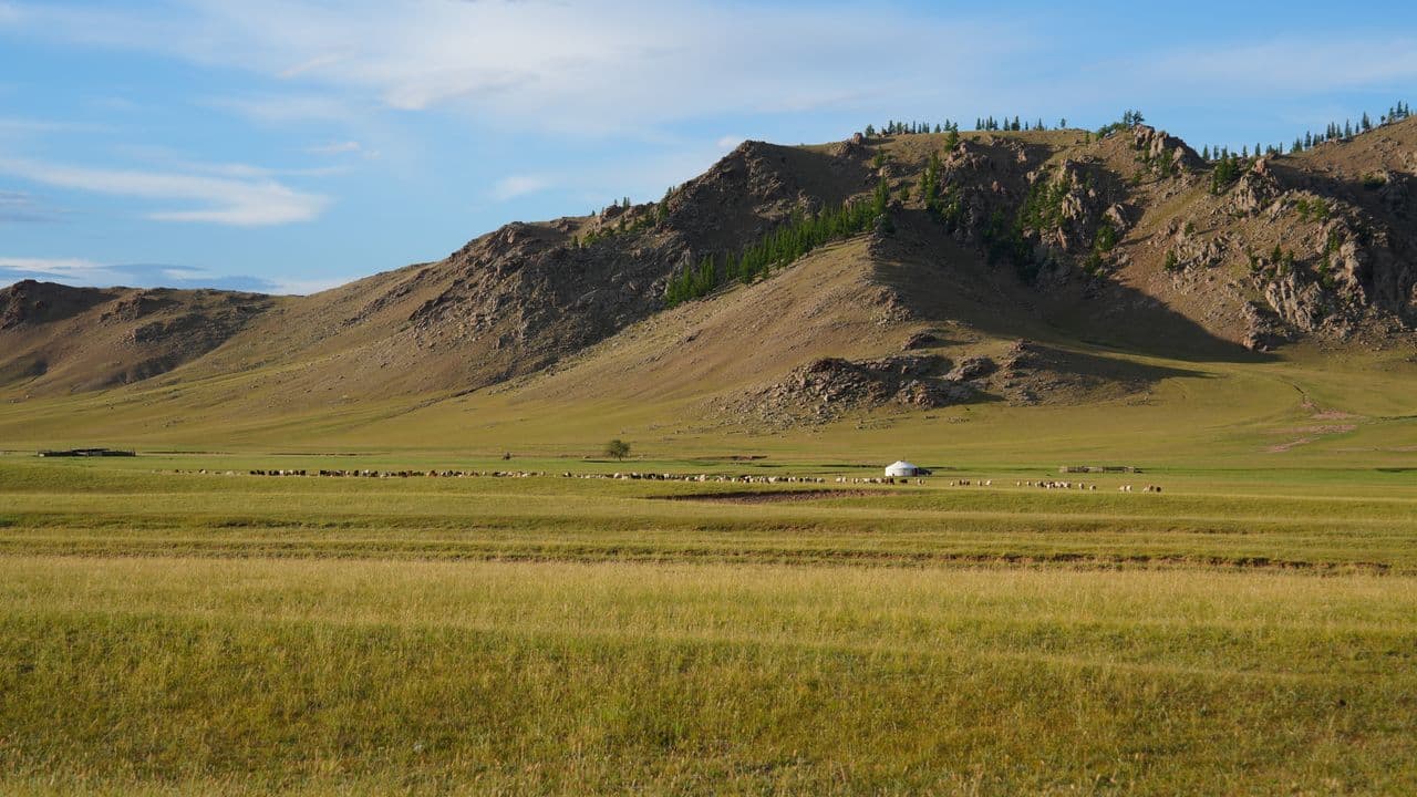Dornod Mongoliin tal
