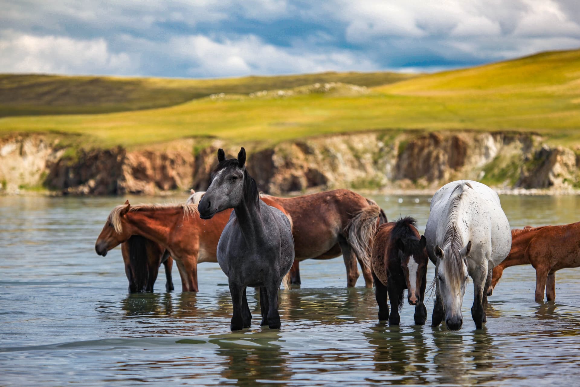 Viajar a Mongolia: ¿qué itinerario elegir?