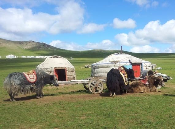 El campamento Mongol Nomadic