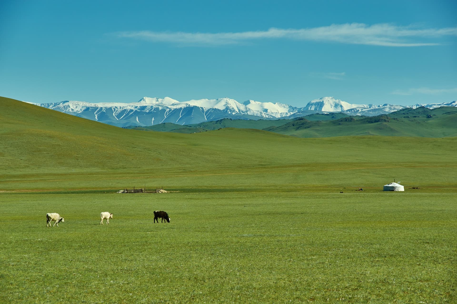 Mongolia como nunca la habías visto: trek en el macizo del Kharkiraa