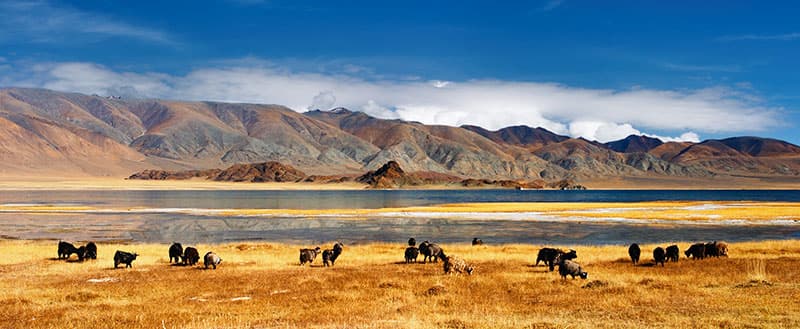 ¡Mongolia, un destino imprescindible en 2017!