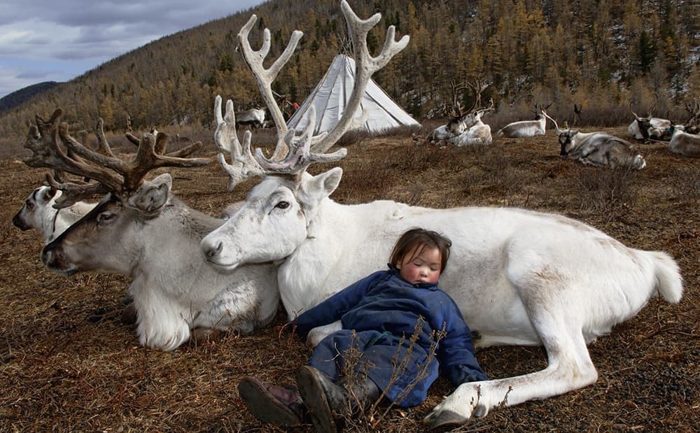 El fotógrafo Hamid Sardar te lleva al encuentro de los nómadas de Mongolia…