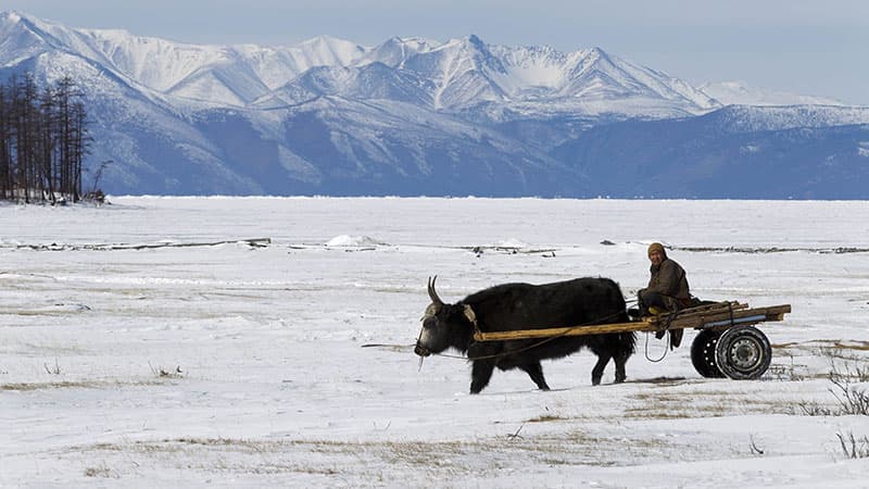Descubrir Mongolia en invierno