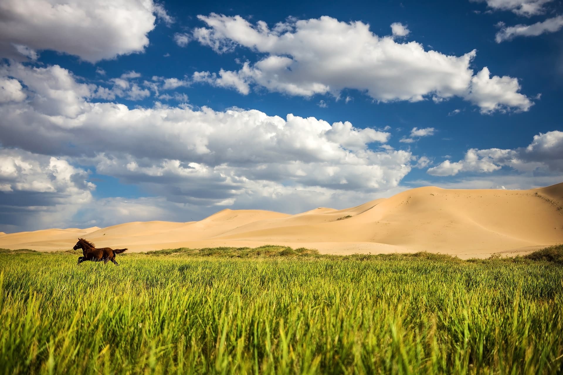Los gestos correctos para preservar la naturaleza mongola durante tu viaje