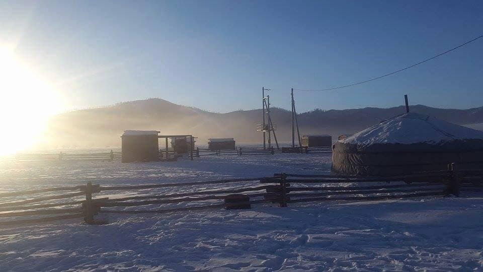 Los nueve 9 del invierno