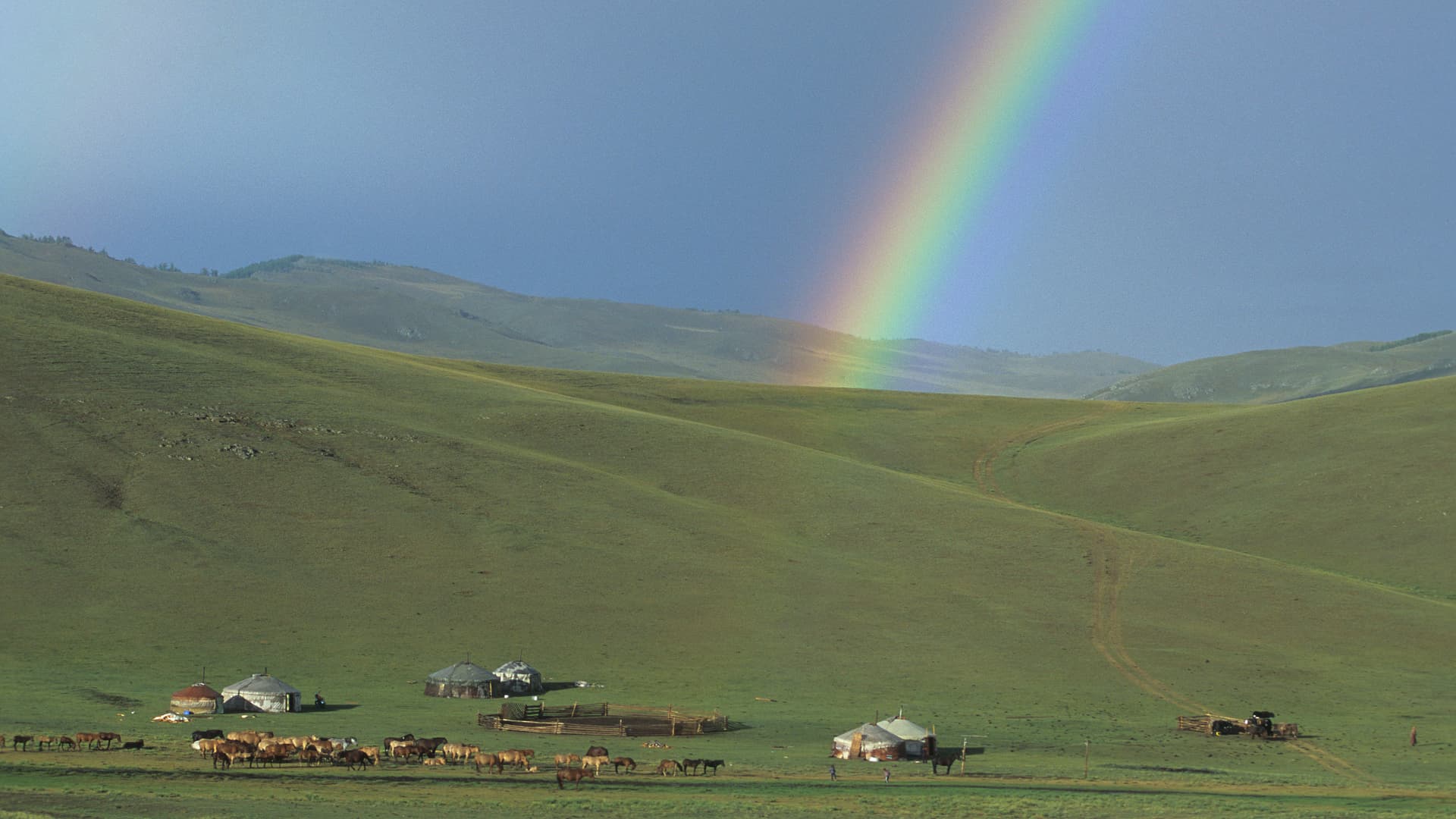 Cuándo viajar a Mongolia