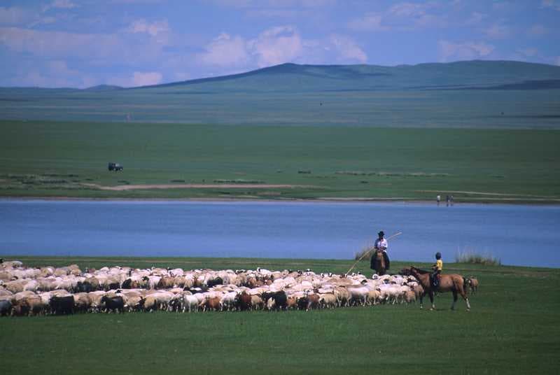 Los diferentes problemas que afectan la agricultura en Mongolia