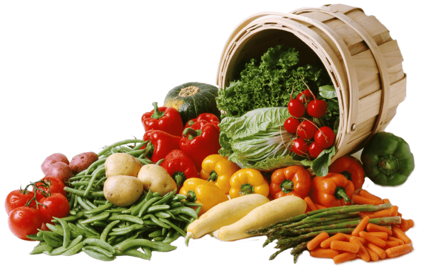 Viajar a Mongolia siendo vegetariano