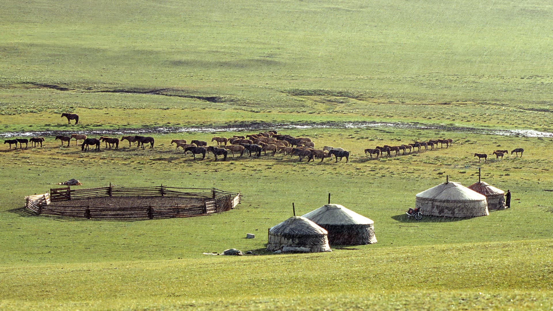 El clima en Mongolia