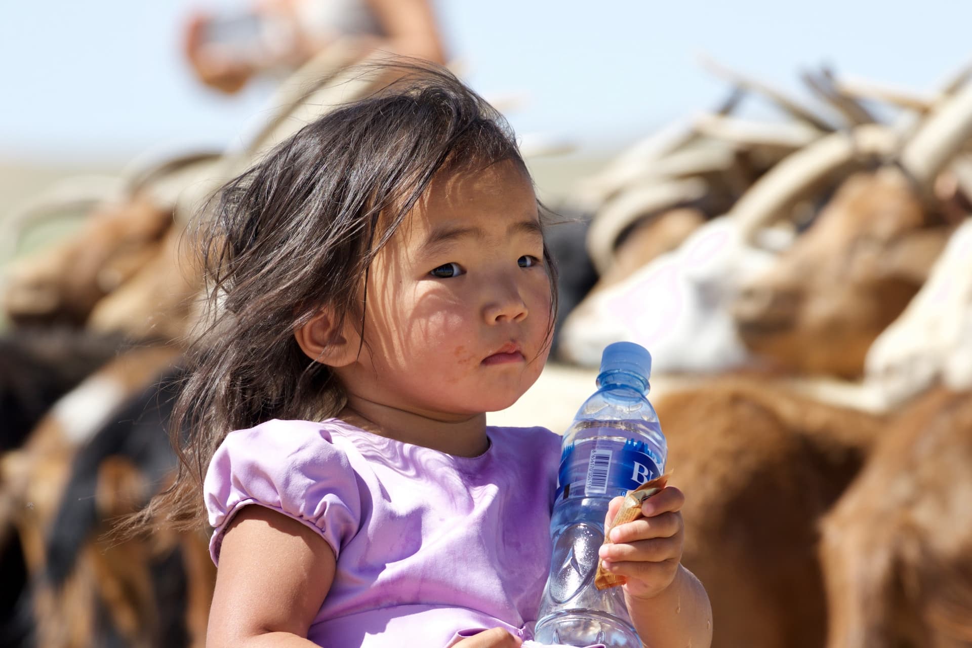 Proyecto ecológico Horseback Mongolia: filtros de agua para limitar las botellas de plástico en los tours en Mongolia