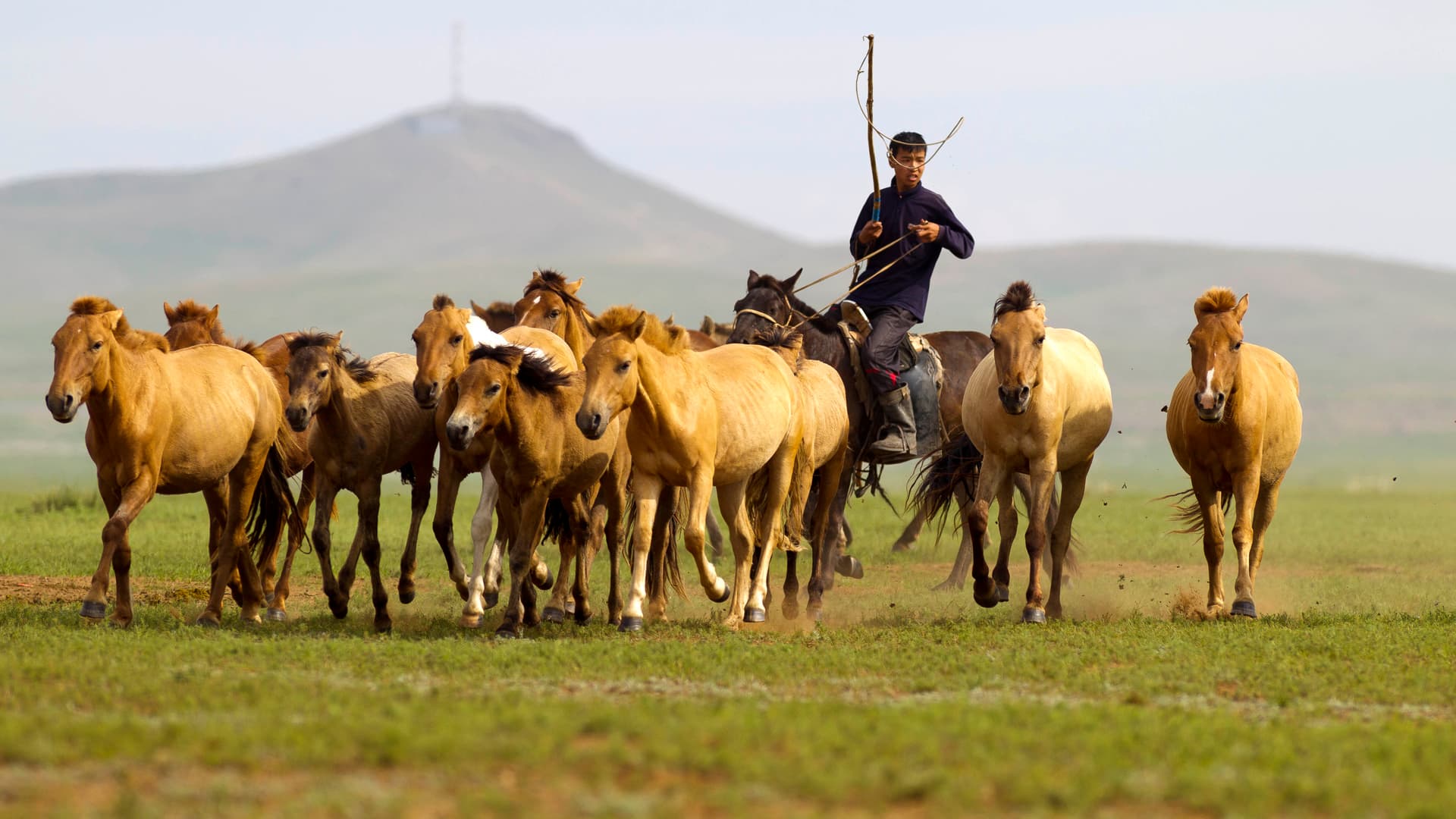 El nomadismo en Mongolia