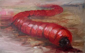 El mito del Olgoi