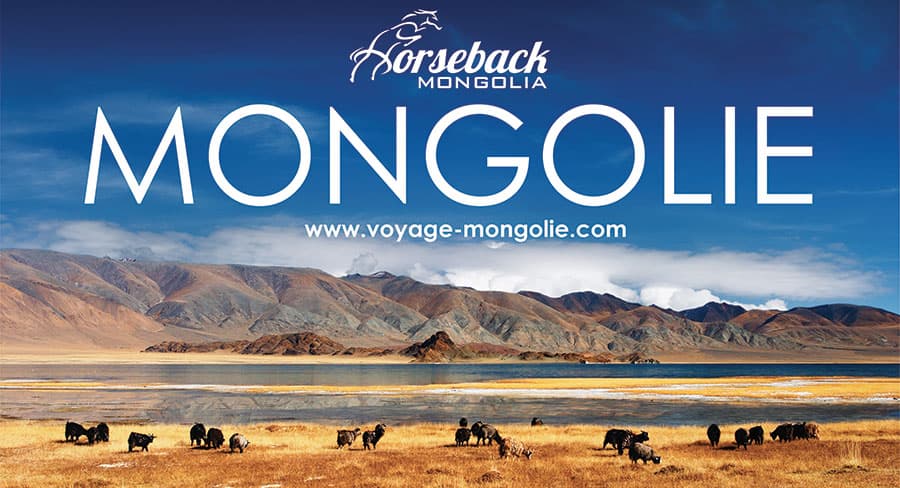 Infografía sobre Mongolia