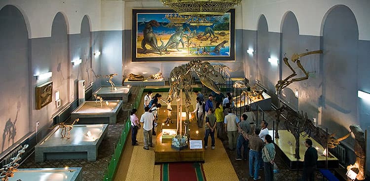 Bajo el reinado de los dinosaurios